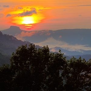 Meet your Posher, Bob